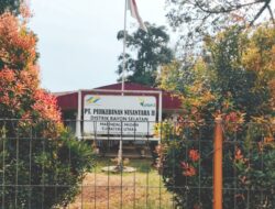 Rusak Cagar Budaya,Tanah Milik PT Perkebunan Nusantara ll Distrik Rayon Selatan Diduga Dicaplok Mafia Tanah