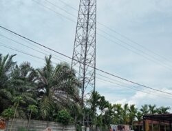 Tower Seluler PT Protelindo Beroprasi Tanpa Perpanjang Kontrak Lahan