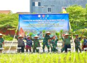 Semarakkan HUT Ke-78 TNI, Lantamal V Gelar Gerakan Nasional Ketahanan Pangan