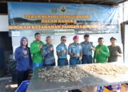 Ketahanan Pangan, Lantamal V Panen Udang Vaname