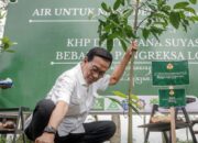 DIY Membutuhkan Pasokan Air Sebesar 800 Liter Per Detik, Sri Sultan HB X Lakukan Reboisasi
