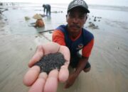 Masyarakat Minta Pemerintah Daerah Mengurus Wilayah Tambang Rakyat (WTR) di Lingga