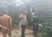 Harimau Tersorot Lampu Sepeda Motor di Jalan Lintas Karo, Polisi Lakukan Koordinasi ke Masyarakat