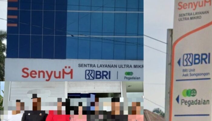 Dugaan Penyalahgunaan Dana KUR Bank BRI Unit Aek Songsongan Capai Rp 25 Miliar, Salurkan Dana KUR ke Bisnis Perumahan