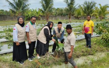 Sinergi Pesantren dan Petani Untuk Ketahanan Ekonomi Umat, Patani dan API Canangkan Penanaman Kelapa di Ponpes Arsyad Lubis