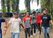 Kodim 0204/DS Gerebek Barak Narkoba di Sei Mencirem, 9 Orang Berhasil Diamankan