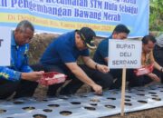 Bupati : STM Hulu Diproyeksikan Sebagai Sentra Bawang Merah