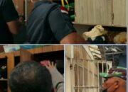 Rutan Kelas I Medan Gelar Apel dan Razia Gabungan dalam Rangka Peringatan HBP ke-62 Tahun 2026