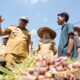 Bupati Bersama Kelompok Tani Panen Bawang Merah, Si Pandai Siap Jamin Pasar dan Harga Petani Deli Serdang