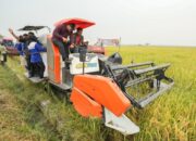 Dari Alsintan hingga Lumbung Padi, Bupati Deli Serdang Perkuat Dukungan untuk Petani Desa Sidoarjo II Ramunia