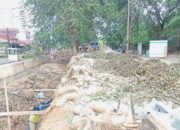Penebangan Pohon Dipertanyakan, Pemerintah Pastikan Ganti 69 Batang Baru sesuai Aturan 1:3