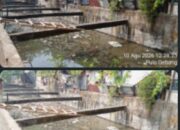 Kilat! Laporan Kali di Penggilingan Penuh Sampah, Dalam Waktu 4 Jam Laporan Bersih Total