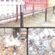 Pagar RPTRA Cipinang Besar Selatan: Tiang Bambu Dicat Hitam, Material Bekas & Pondasi Asal Jadi